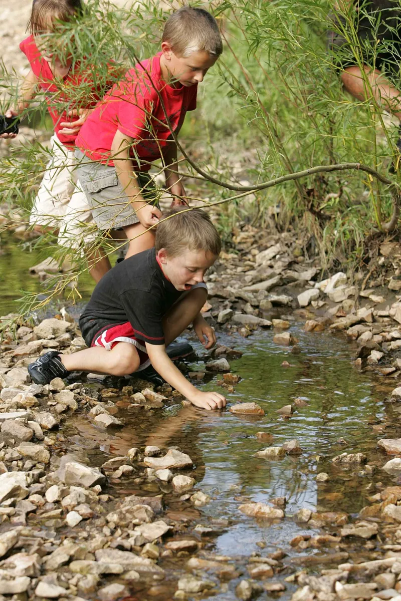 Mud on Their Boots, Wonder in Their Eyes: Inside America's Forest Kindergarten Boom